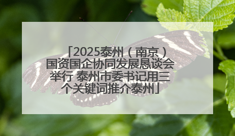 2025泰州（南京）国资国企协同发展恳谈会举行 泰州市委书记用三个关键词推介泰州